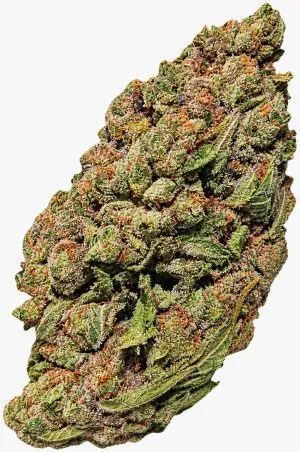 Midself Cannabis